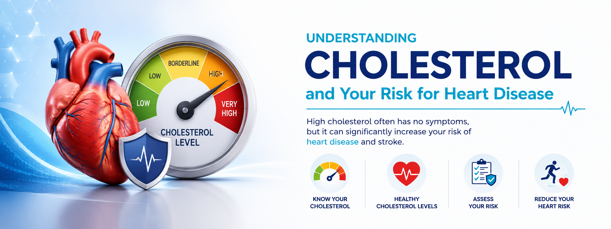 Cholesterol, Cardiovascular Risk, and the Research Changing Heart Health Forever